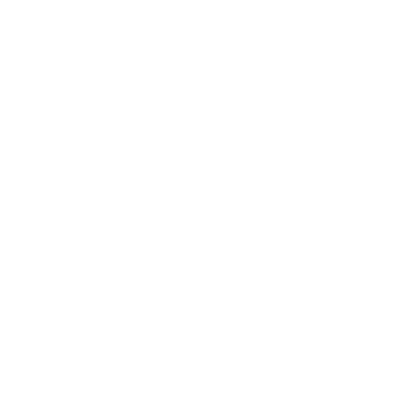 Camelot - decor studio