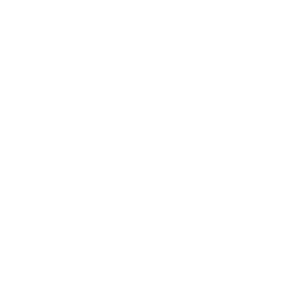 GRUPPO DISTRIBUZIONE