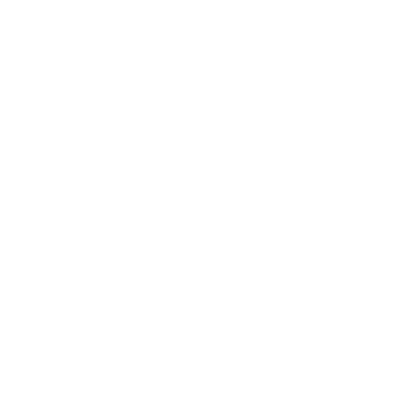 LIDERO CONSULTING